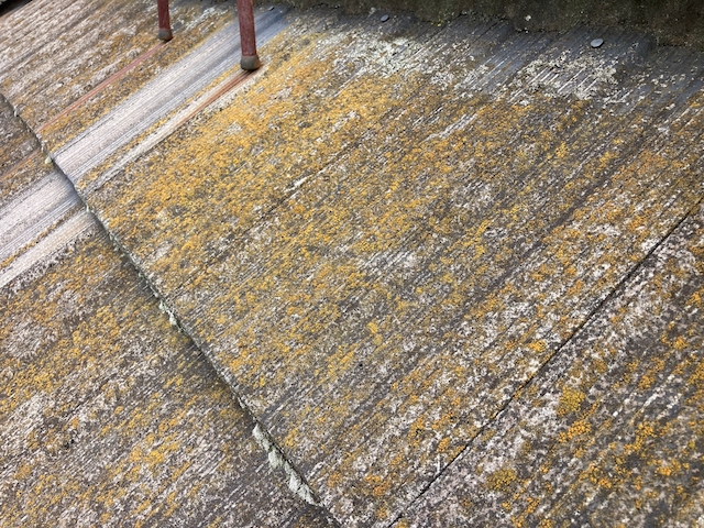 苔が生じたコンクリート瓦